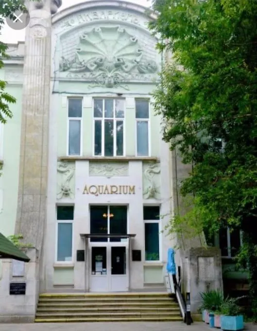 Apartment Home Relax Varna